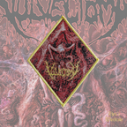 Vulvectomy - Aberrant Vaginal Gestation - Patch