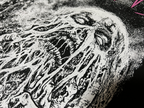 Parasitario - Inhumane Extermination - China Tour 2025 Edition - T-Shirt